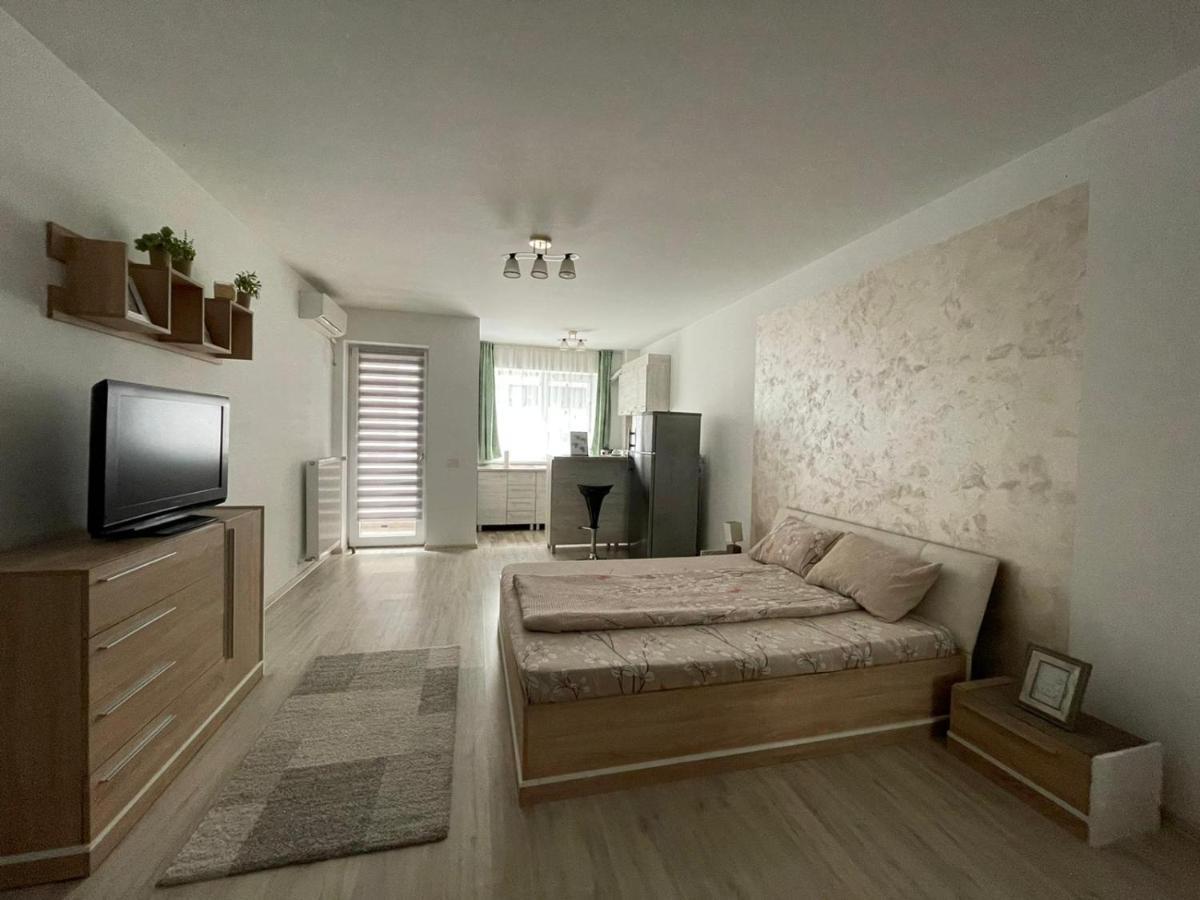 Hanna'S Apartament Oradea Dış mekan fotoğraf